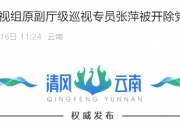 中共云南省委巡视组原副厅级巡视专员张萍被开除党籍和公职