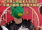 小杨哥戴头套复播，不敢露脸？三只羊相关人士否认：也不是大杨哥