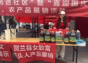 从香油主播到产业带头人 ——贺兰县“乡村油嫂”杨佳丽的创业之路