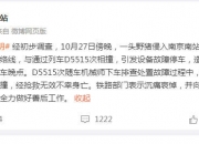 动车随车机械师检查车况时被撞身亡 野猪何以侵线有待查明