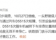 痛心！他经抢救无效不幸身亡，官方通报